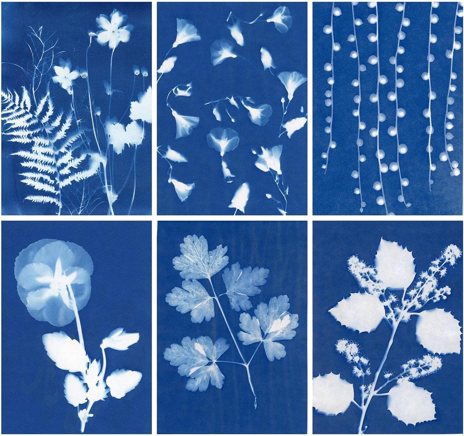 60 Sheets Sun Print Paper Cyanotype Paper Kit, A5 Sun Art Paper with 1 Plastic Tool for Sun Printing, Light Sensitive Solar Photography Paper for Kids DIY Crafts (5.8X 8.3 Inch)