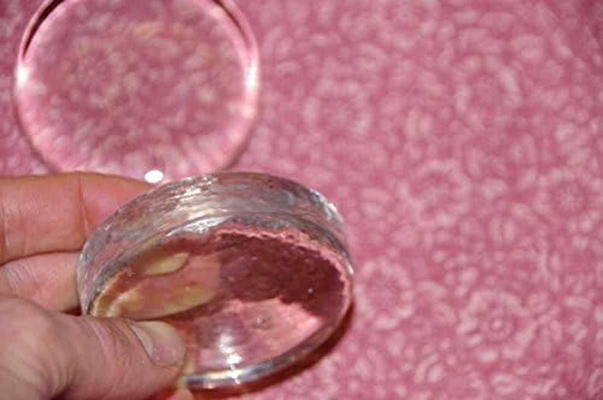 Glass Fabric, Pattern, Sewing, Cloth, Weights 4 Pack Large