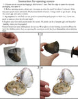 10PC Freshwater Pearl Cultured Love Wish Pearl Oyster with round Pearl inside for Pearl Gift Fun for Children Family Friends Party Oyster with Pearls Inside(6-8Mm, 10PC)