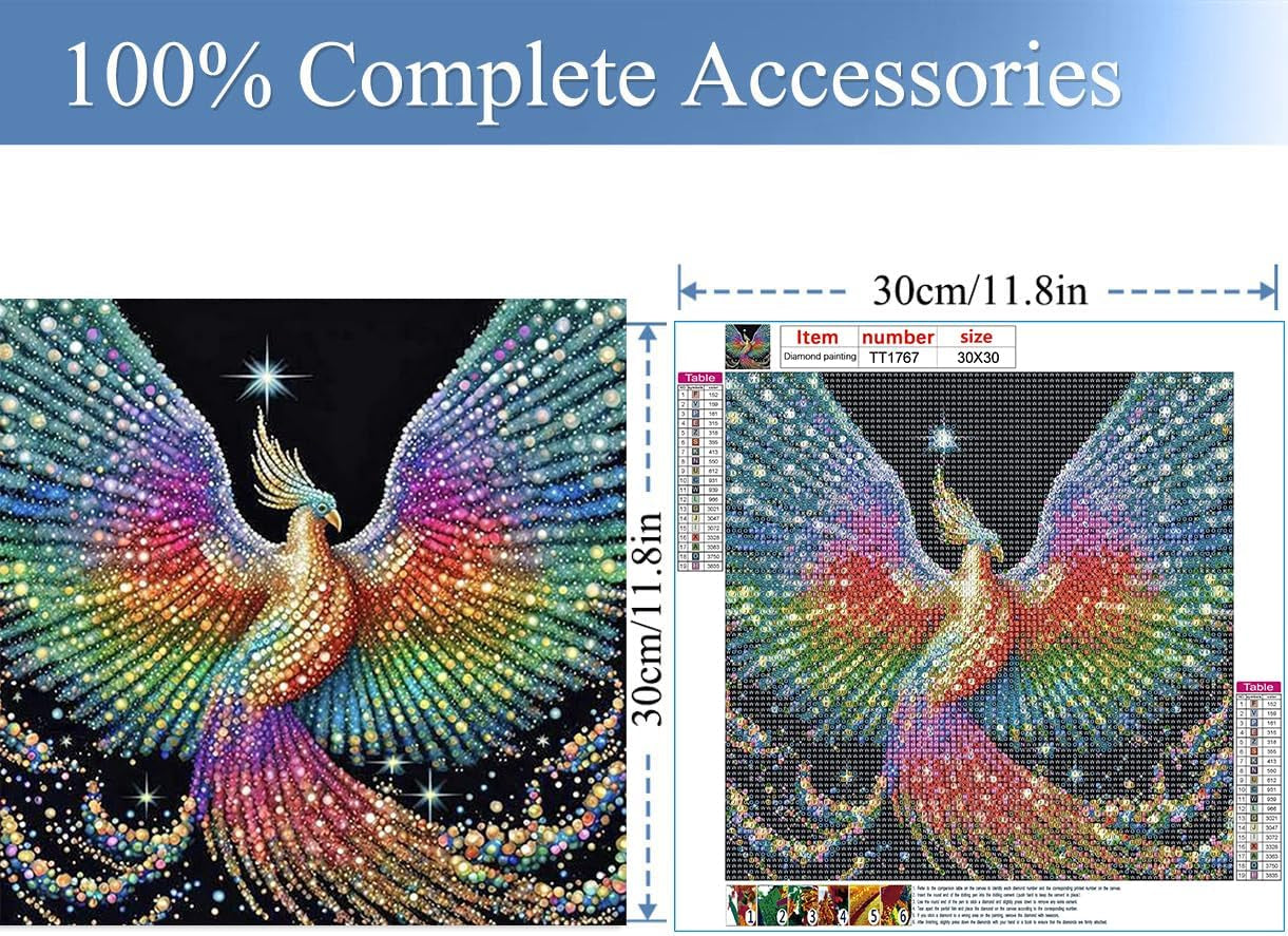 5D Phoenix Diamond Painting Kits for Adult, Fire Phoenix Full Drill round Diamond Cross Stitch Colorful Painting by Number Rhinestone Embroidery Arts Craft Diamond Art 12X12 Inch