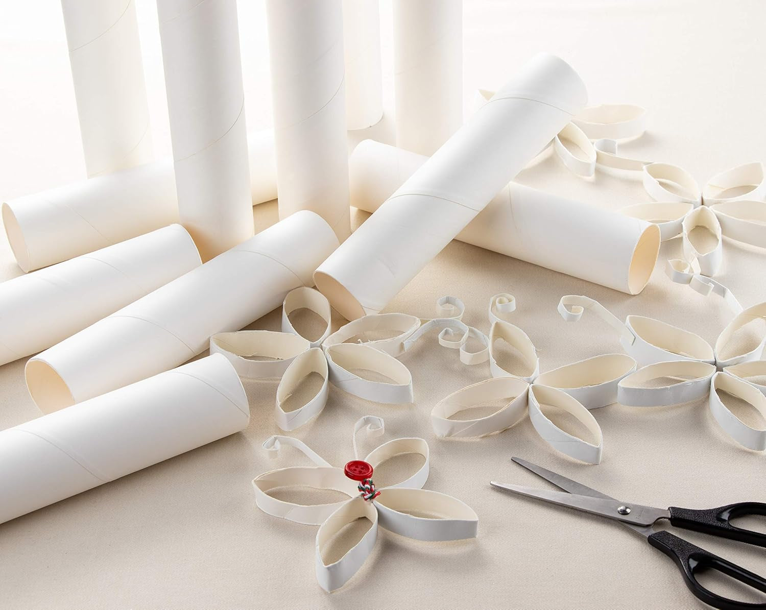 White Cardboard Tubes for Crafts (1.75 X 8 In, 24 Pack)