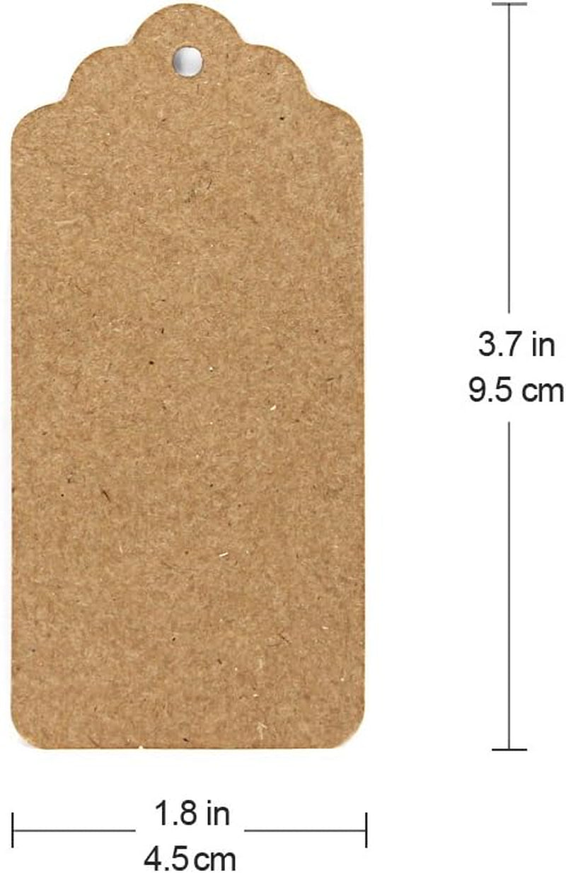 300 Feet Natural Jute Twine and 100PCS Brown Rectangle Kraft Paper Gift Tags for Crafts & Price Tags Labels by
