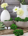Faux Moss for Potted Plants Artificial Moss for Crafts Fake Moss Decor Green Moss for Crafts Fairy Garden Plants Filler Decorative Moss Table Centerpieces Wedding Christmas Crafts Party Decor