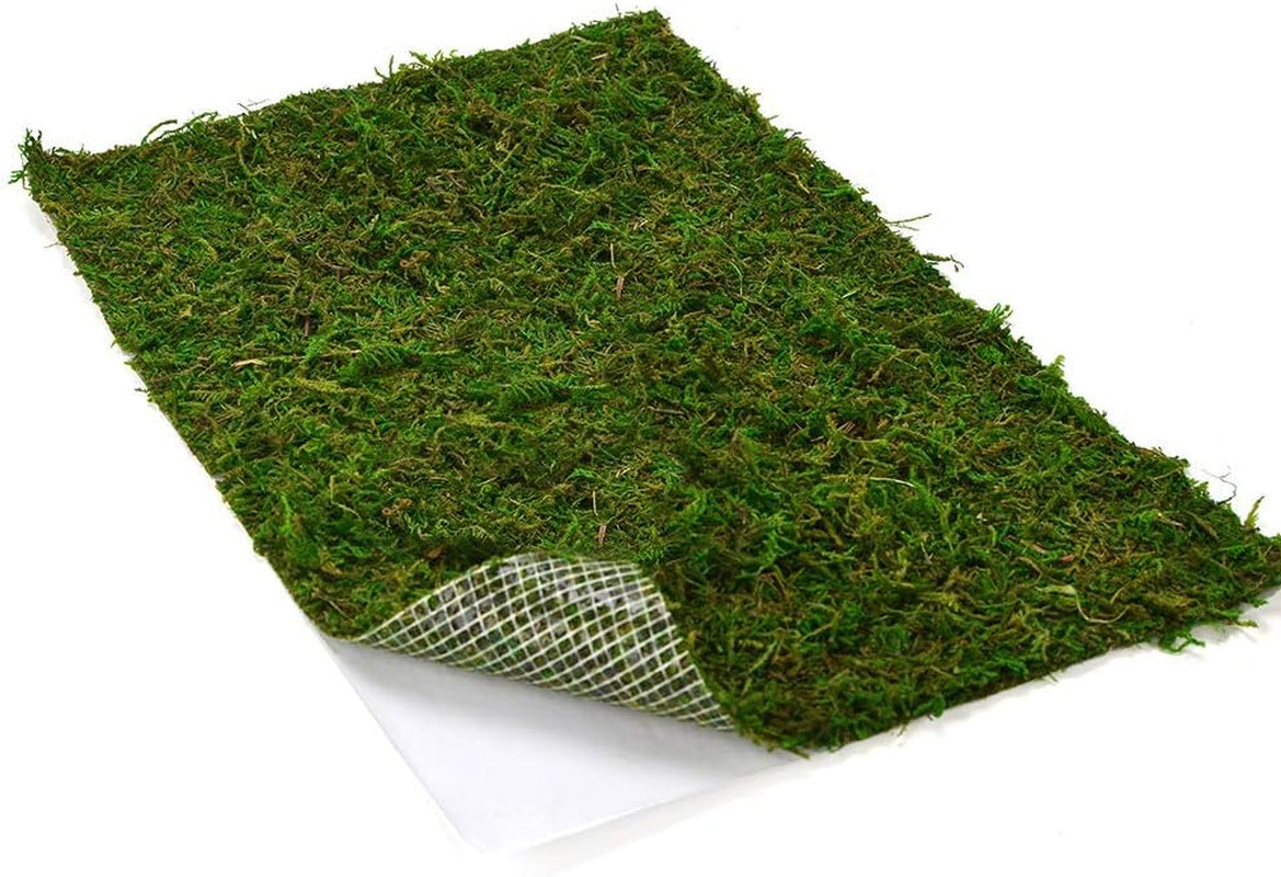 Dried Moss Mat for Wedding Birthday Party Fairy Garden Decorations, Dark Green (Green - 14&quot; X 9&quot;)