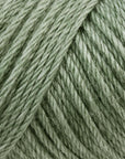 Caron Bulk Buy Simply Soft Heather Yarn (3-Pack) Woodland H9700H-9503