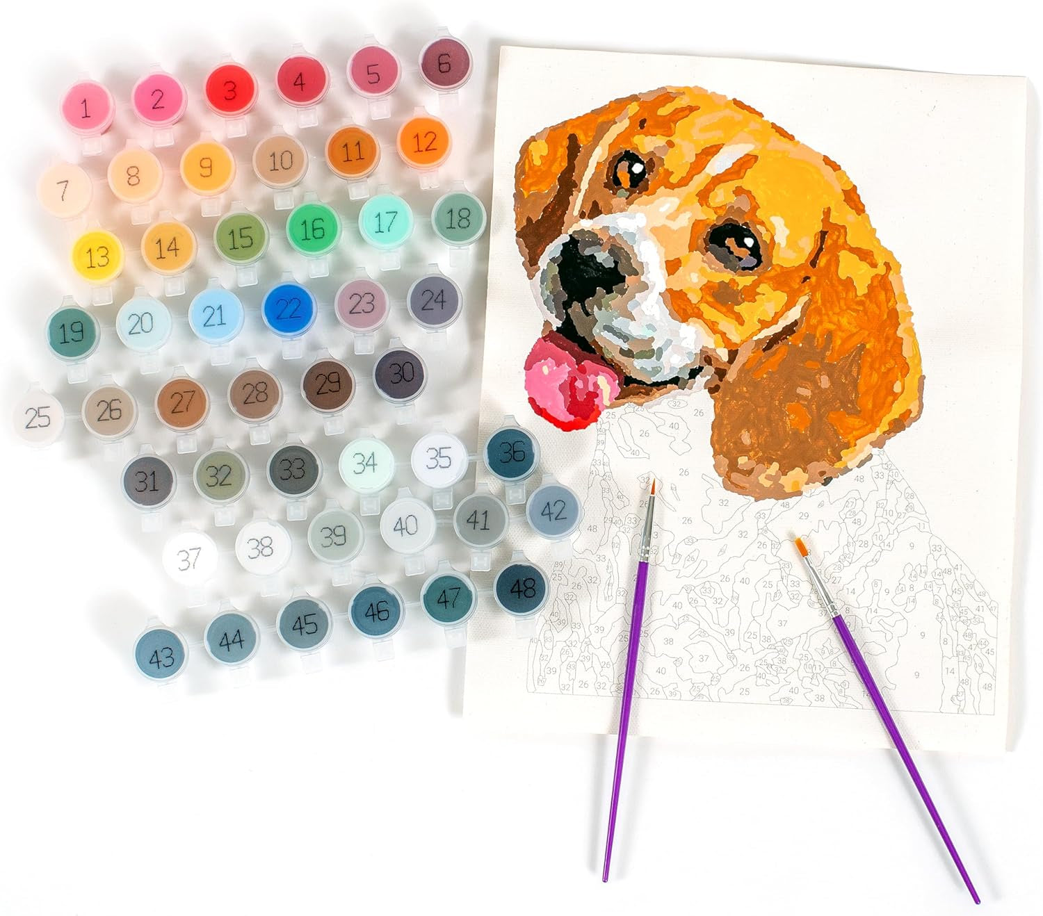 | Paint Your Photo by Number: Pets Edition | Customizable Kit | Printable Canvas | Custom Paint by Number Technology