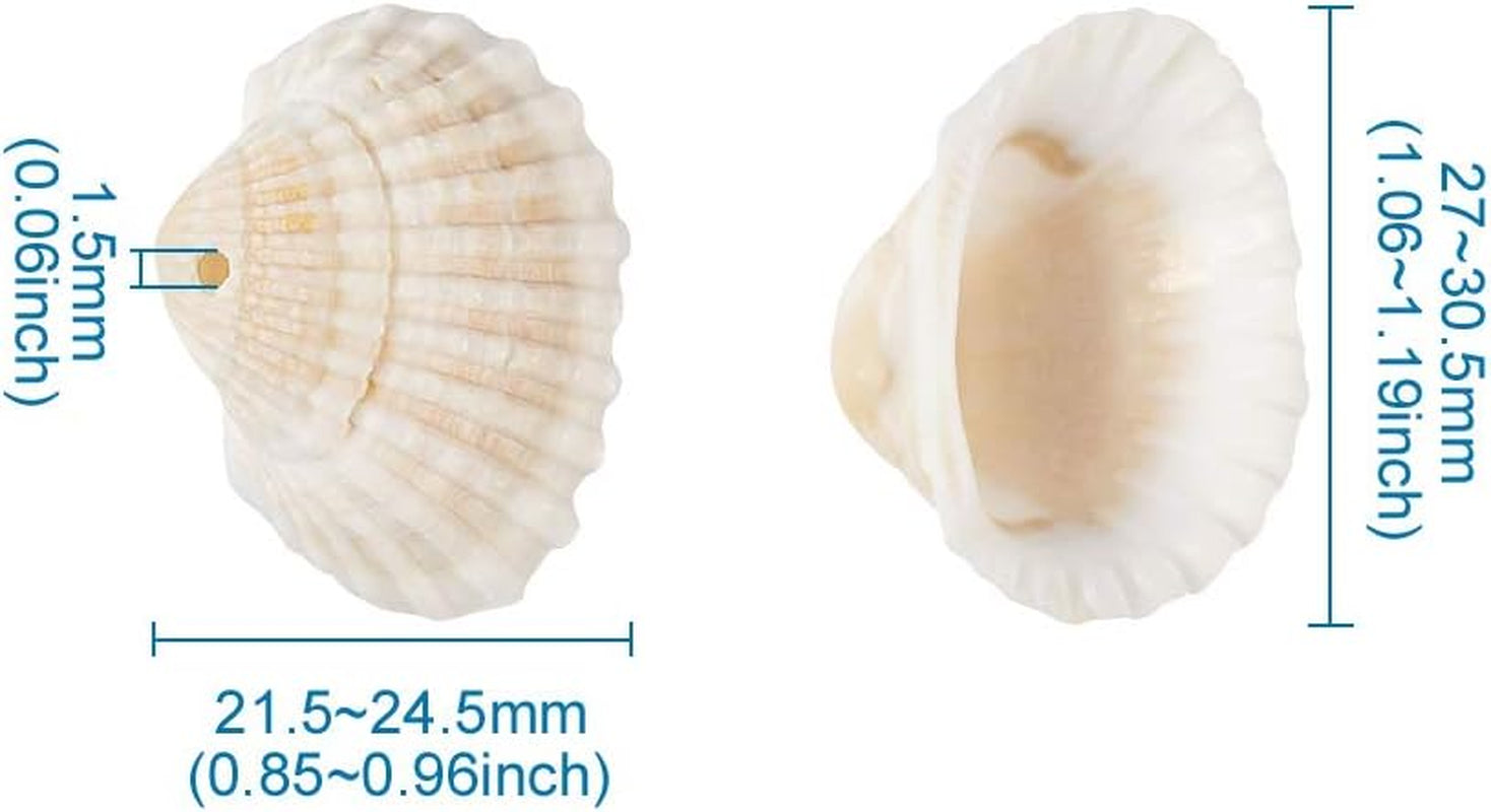 Box of 117Pcs Natural Clam Shell Pendants 21.5-24.5X8.5-11.5 Beach Ocean Seashell Beads Charms for Vase Filler Fish Tank Jewelry Making Hole:1.5-1.6Mm