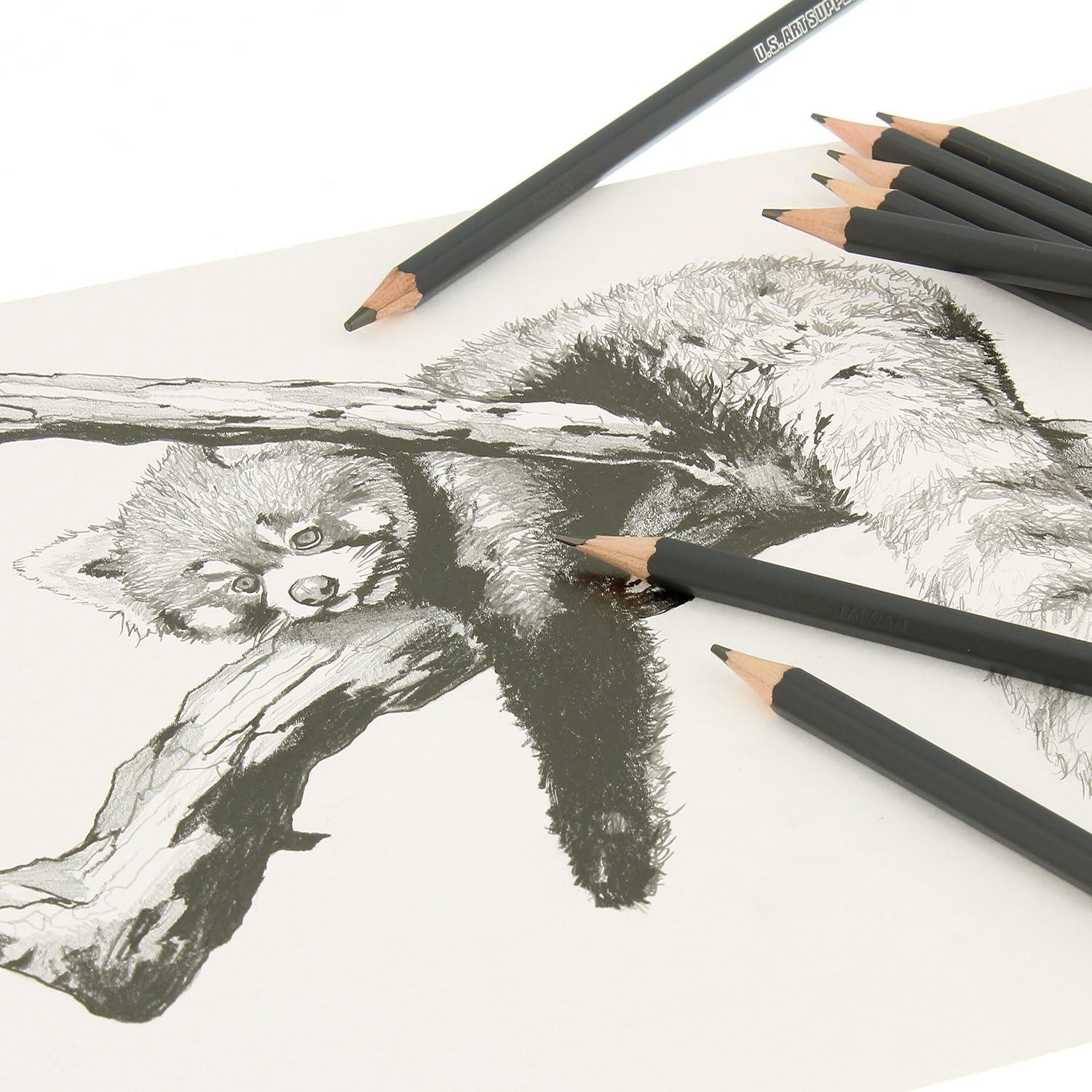 20 Piece Professional Hi-Quality Artist Sketch Set in Hard Storage Case - Sketch & Charcoal Pencils, Pastel, Stumps, Eraser, Sharpeners