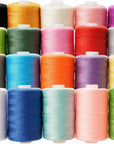 Sewing Thread Kit 20 Colors Polyester Sewing Thread Set 1000 Yards per Spool Black & White for Sewing Machine, Hand Stitching and Quilting Use