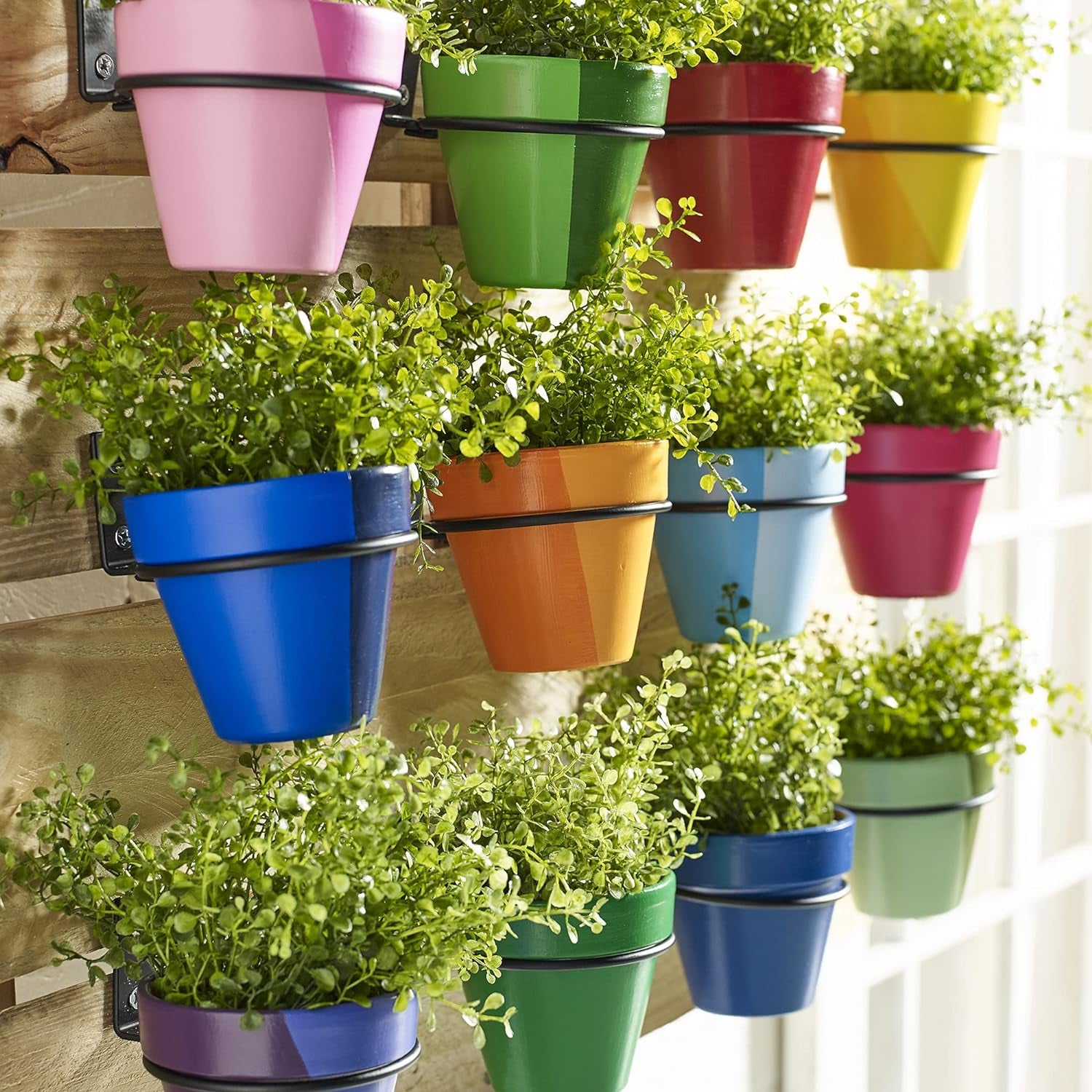 Gloss Paint Set, 16 Piece (2-Ounce), PROMOABG Colors