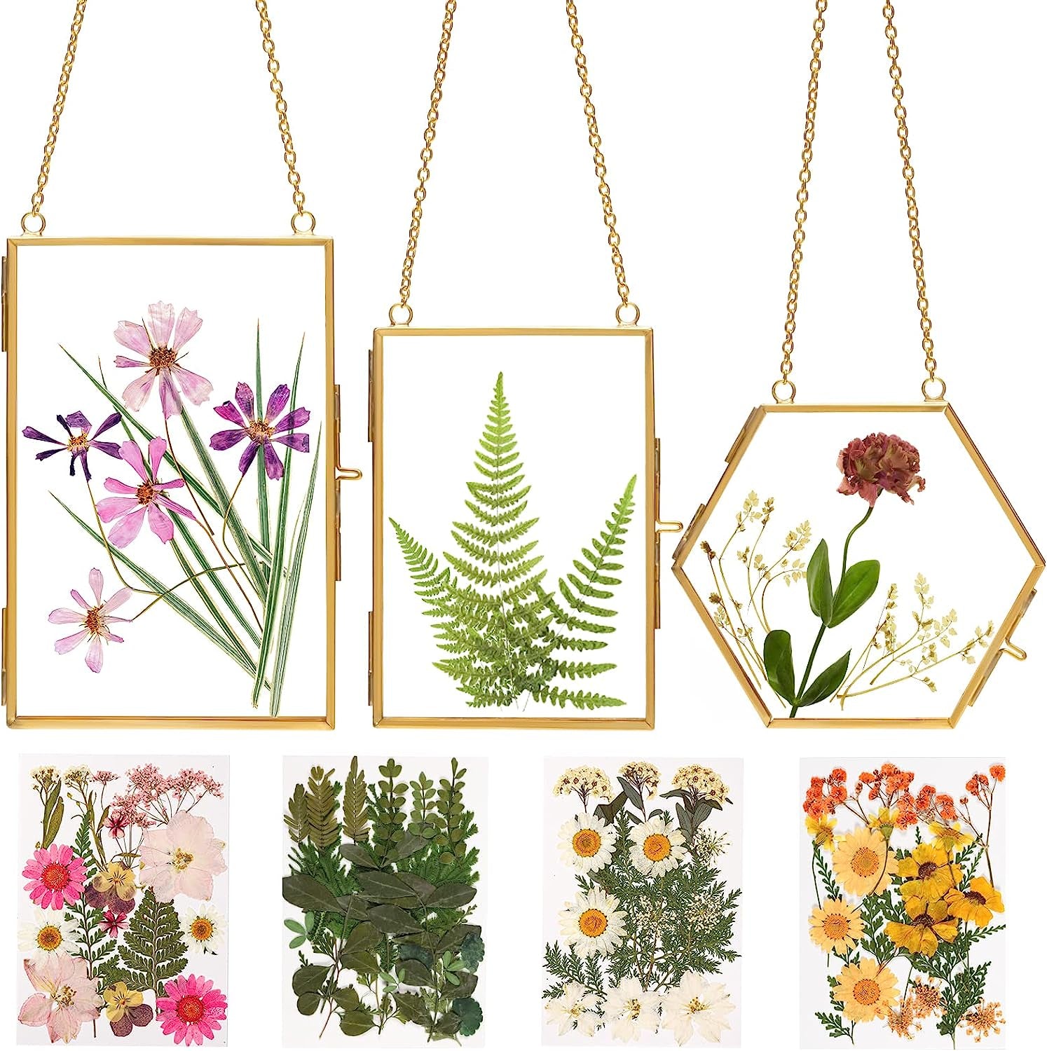 Double Glass Frame for Pressed Flowers - W/Real Dried Flowers and Tweezer for Handicrafts, Photo, or Other Small Flat Items