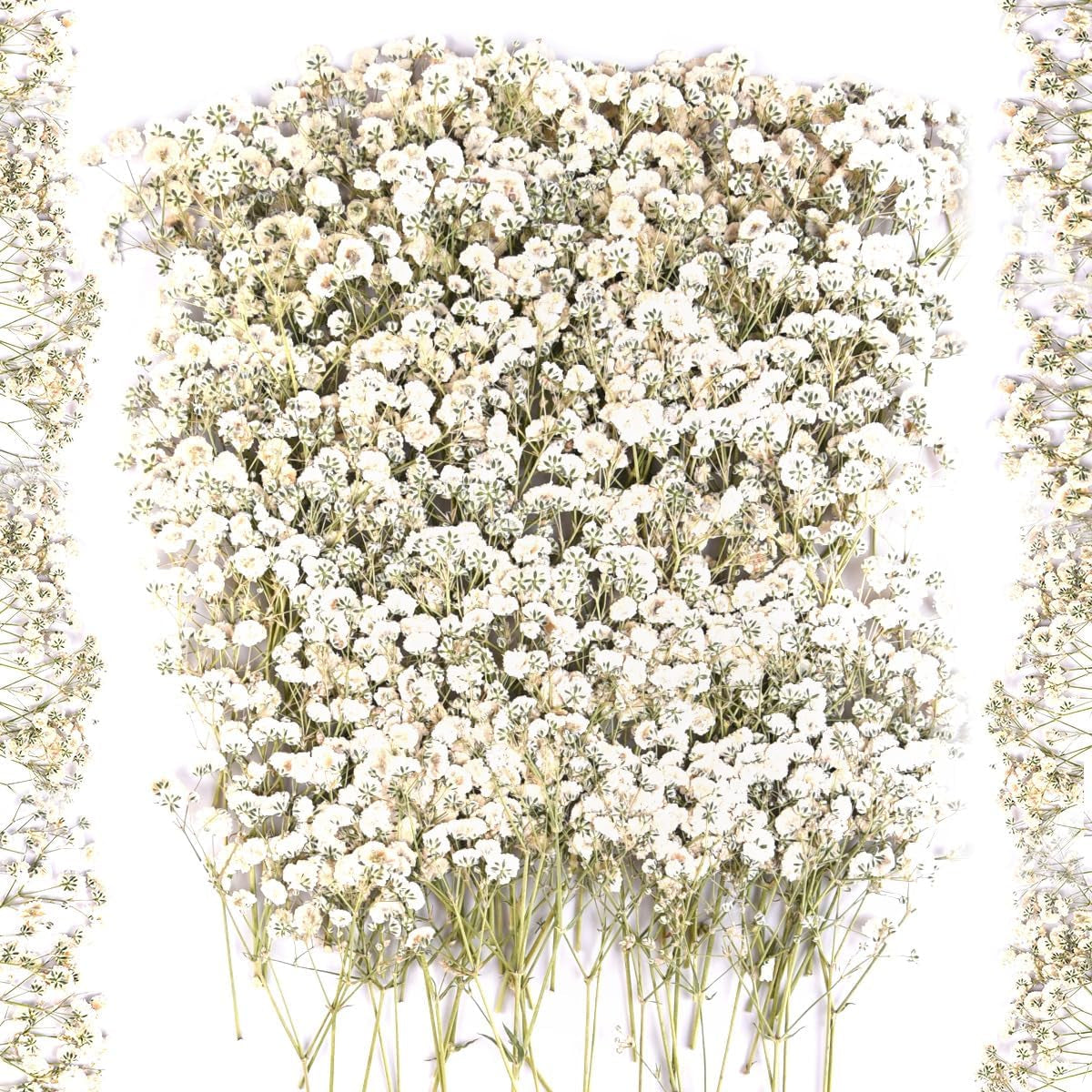 200PCS  White Dried Flowers Small Baby'S Breath Flowers Nature Real Dry Pressing Floral Natural Gypsophila Dried Flowers for Wedding Resin Art Craft DIY Card Making