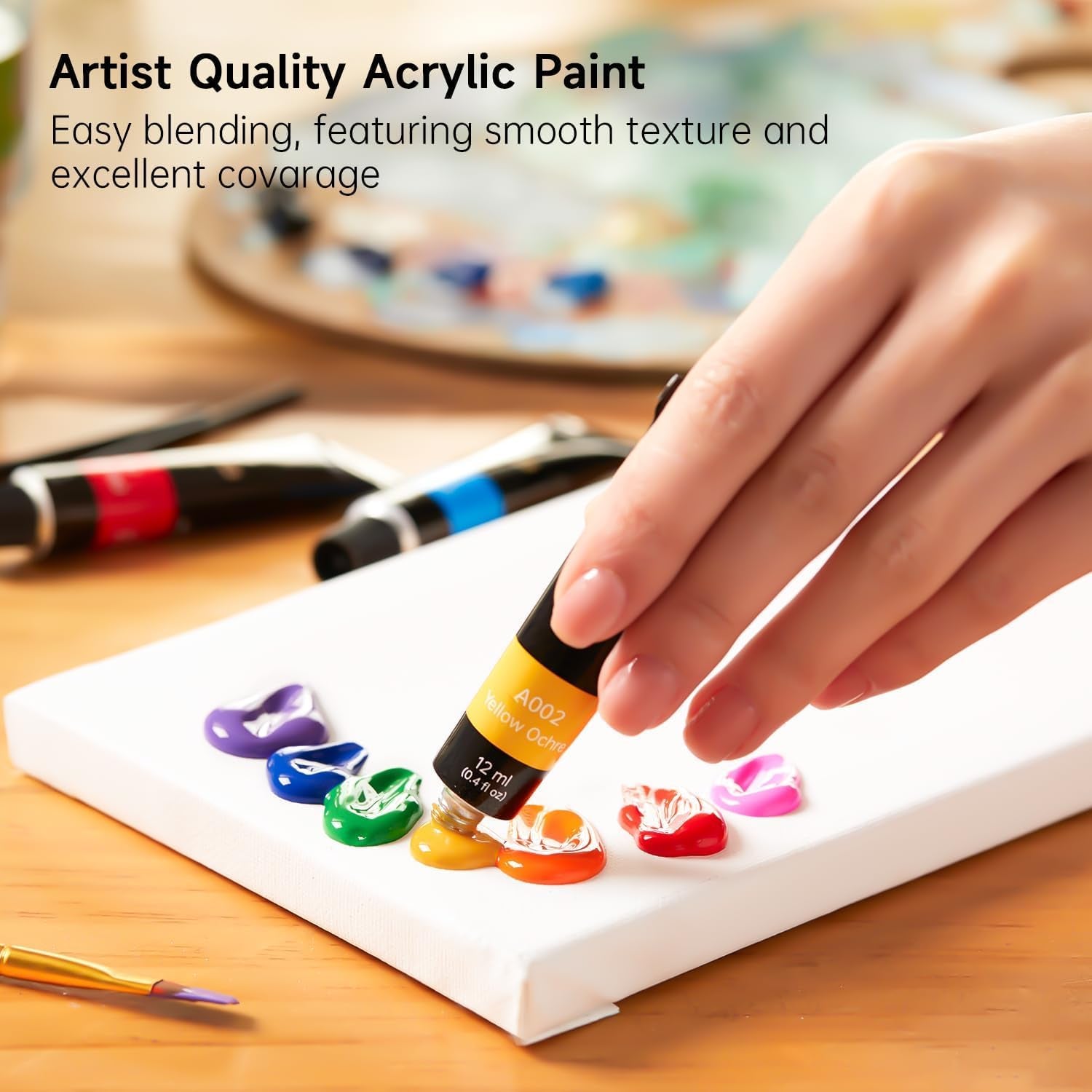 Acrylic Paint Set, 16 X12Ml Tubes Artist Quality Non Toxic Rich Pigments Colors Great for Kids Adults Professional Painting on Canvas Wood Clay Fabric Ceramic Crafts