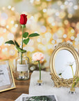 12 Pcs Flower Frog Holder 0.92 Inch Mini Floral round Flower Arranger Fixed Flower Pin Holder Tool Floral Arrangement Pin Holder Japanese Flower Holder Plant Fixation(Gold)