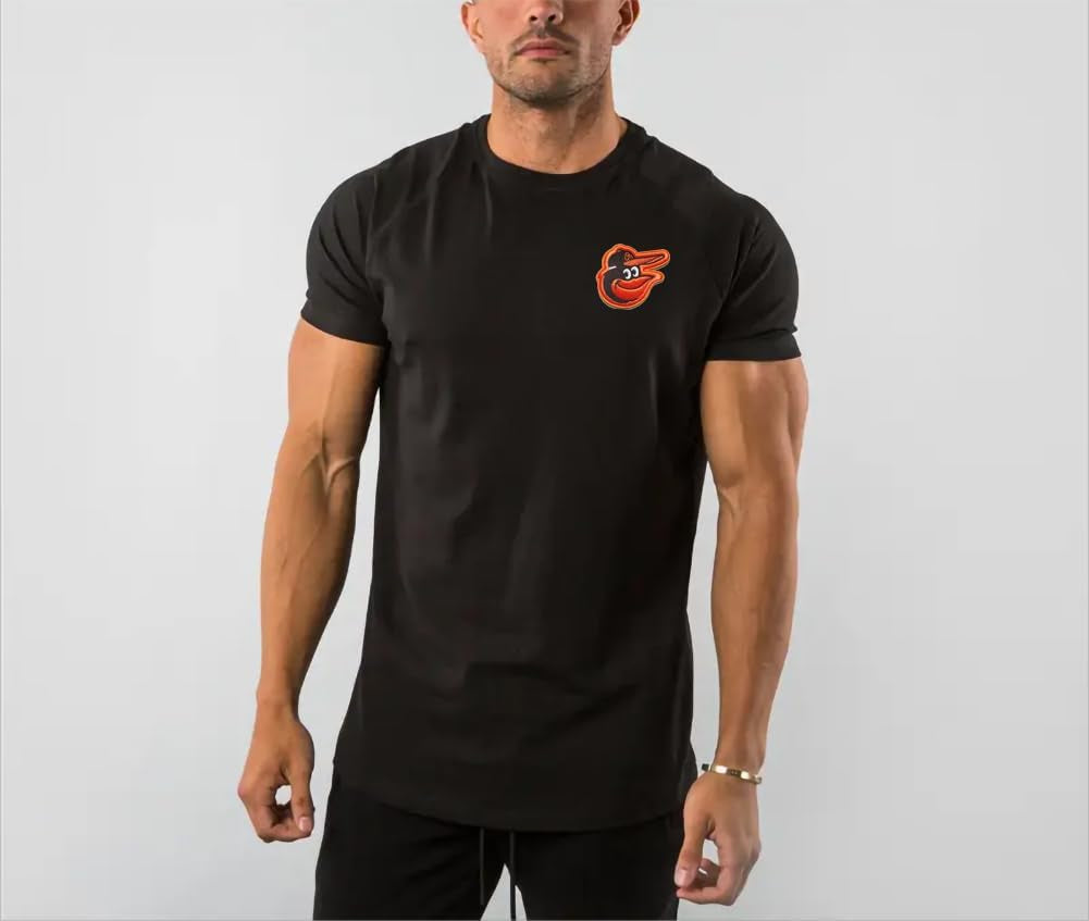 Orioles Patch Iron on Sew on Embroidered Patches for Jacket Shirts Jeans Backpack Sewing Decorating DIY Craft 2.25 * 2.75IN