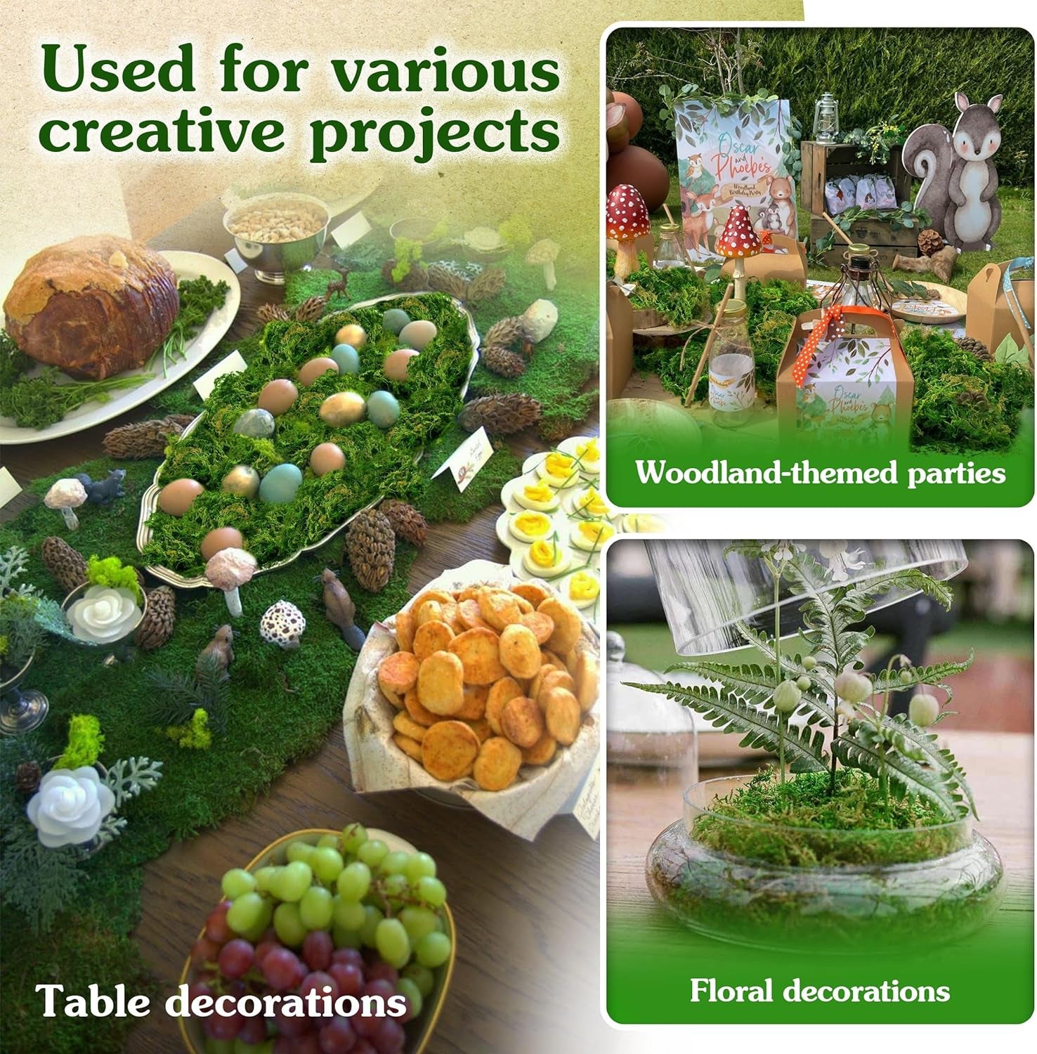 Green Craft Moss, Real Forest Moss for Planters, Decorative Moss for Table Centerpieces Wedding Christmas Fairy Party Decor, Forest Moss for Indoor Planters, DIY Project 7 Oz