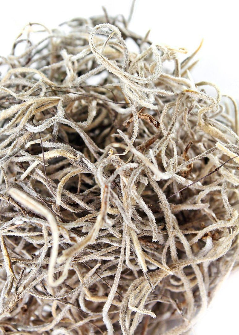 (26926) Spanish Moss Dried, Natural, 3 Pounds