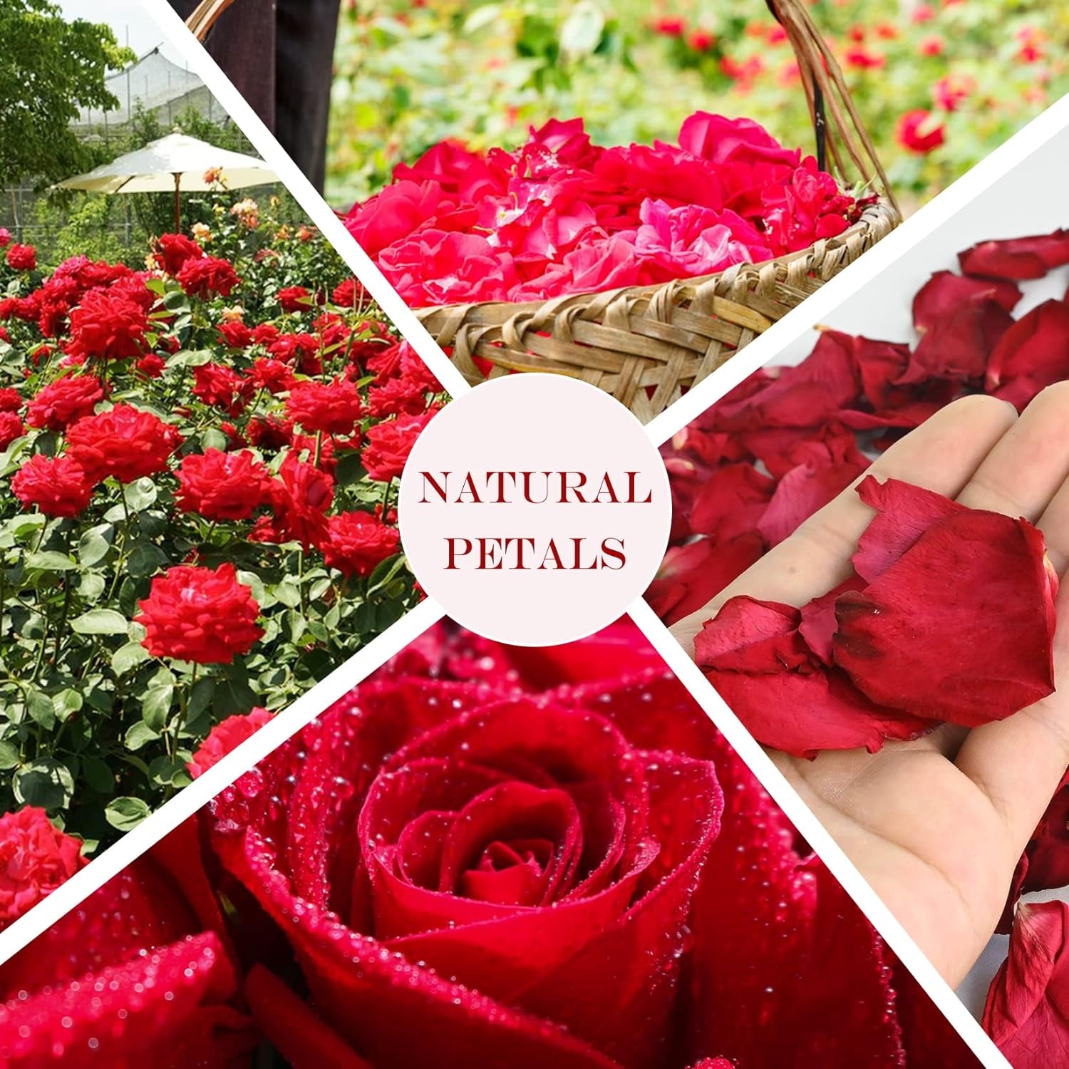 3Oz Dried Rose Petals - Dry Rose Petals Real Rose Petals Dried Organic for Rose Bath Spa Rose Quartz Candle Soap Making Wedding Confetti Resin Jewelry DIY Crafts Accessories