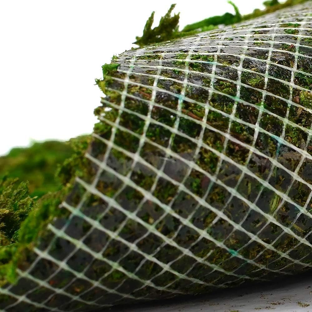 Dried Moss Mat for Wedding Birthday Party Fairy Garden Decorations, Dark Green (Green - 14" X 9")