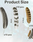 30Pcs Natural Turkey Feathers, 5.3-7 Inch Craft Feathers Pheasant for Hats, 3 Style Mixed Natural Feathers for Carnival Costume Feather Mask Wedding Party Decoration Flower Arrangement