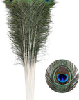 20Pcs Natural Peacock Feathers Long Pole Bulk 40-45 Inch for DIY Craft, Wedding Holiday Decorationn and Floral Arrangement
