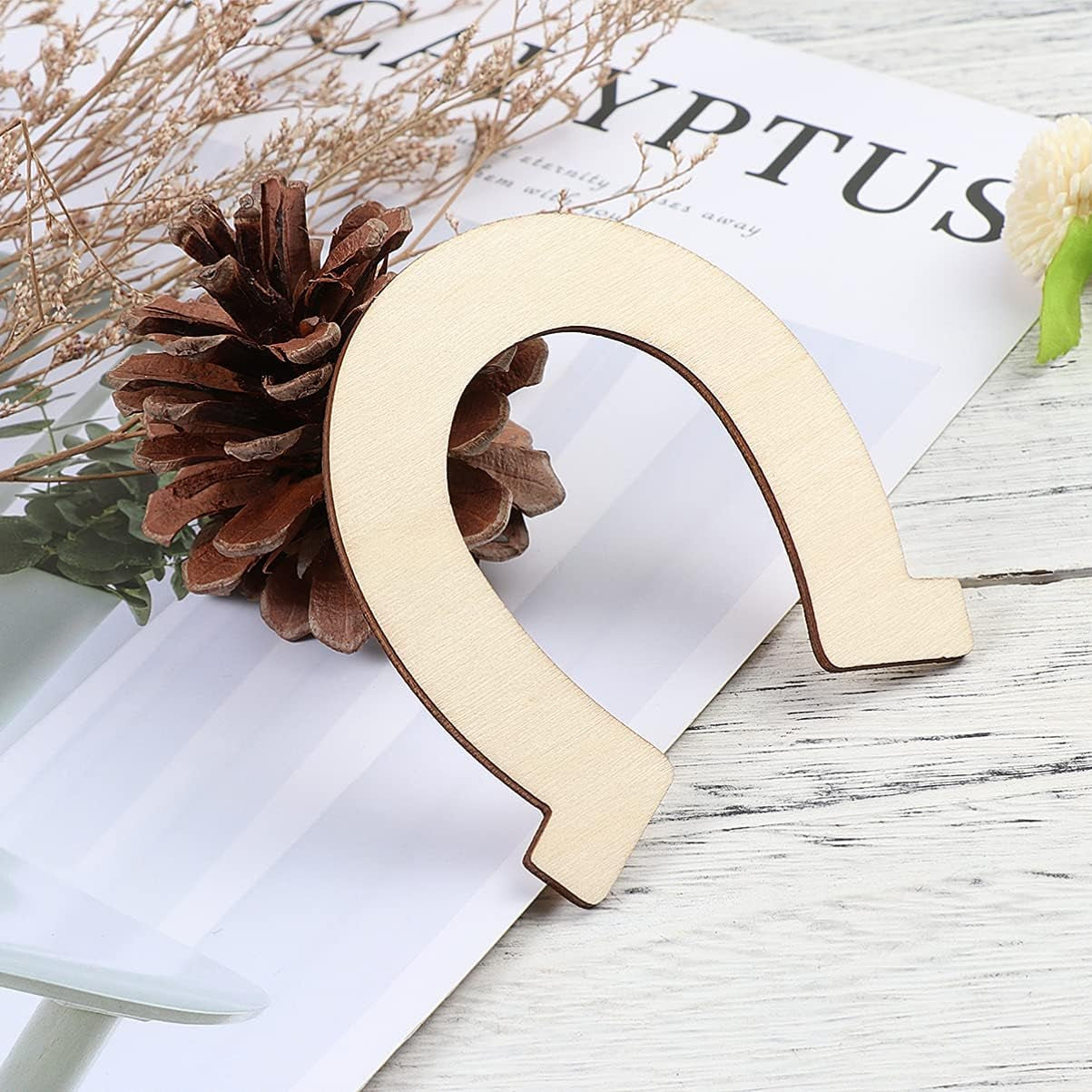 Horseshoe Wood Cutout 24Pcs Horseshoe Shape Wood Slices Unfinished Wood Chips Handicrafts Home Decorative Wooden Cutouts DIY Crafts Home Decoration Craft Projects