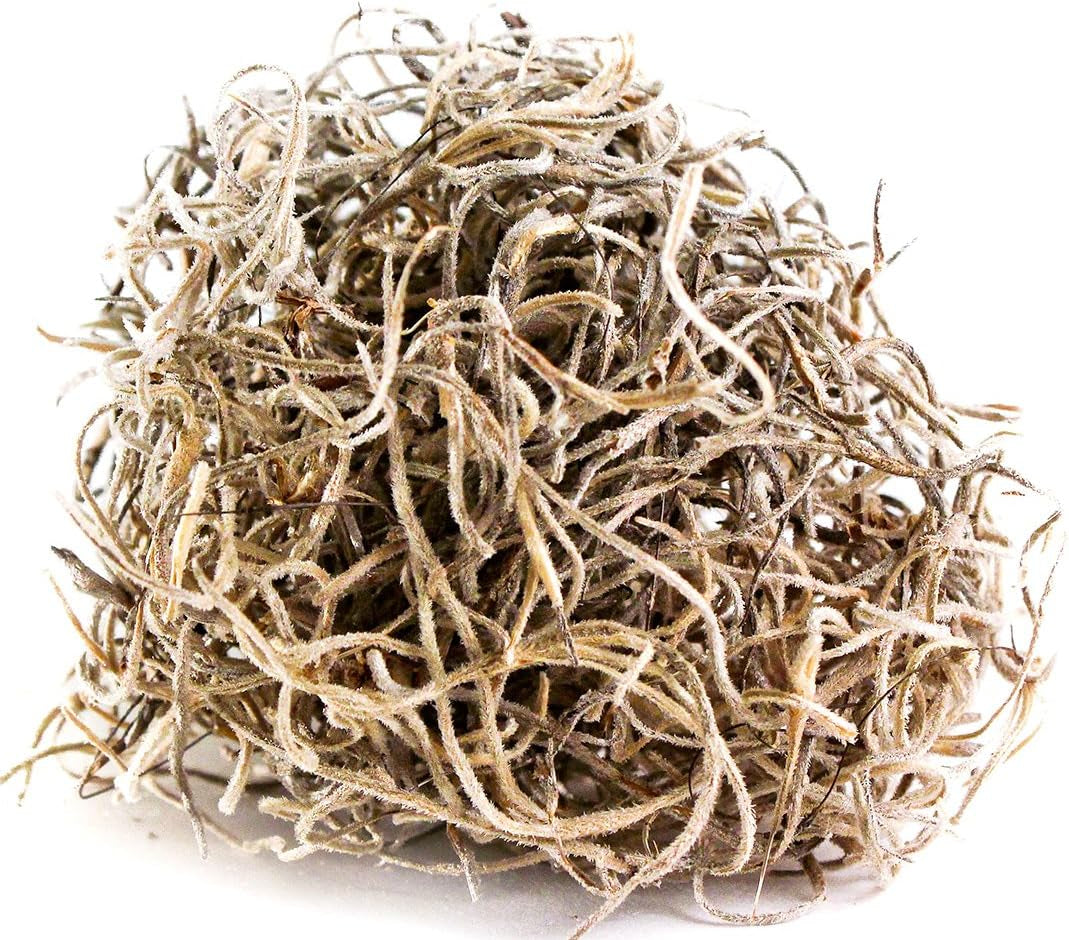 (26914) Spanish Moss Preserved, Natural, 8Oz (200 Cubic Inch)