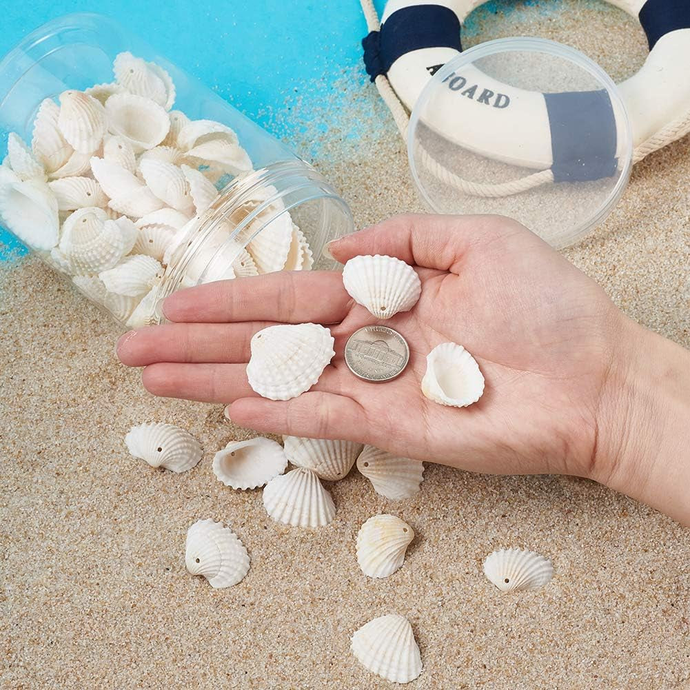 Box of 117Pcs Natural Clam Shell Pendants 21.5-24.5X8.5-11.5 Beach Ocean Seashell Beads Charms for Vase Filler Fish Tank Jewelry Making Hole:1.5-1.6Mm