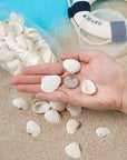 Box of 117Pcs Natural Clam Shell Pendants 21.5-24.5X8.5-11.5 Beach Ocean Seashell Beads Charms for Vase Filler Fish Tank Jewelry Making Hole:1.5-1.6Mm