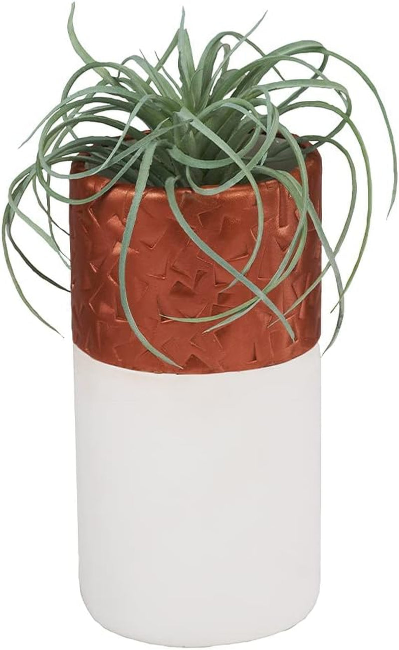 Premo Classic Mixing Color Sampler Pack, 12 Colors, Polymer Oven-Bake Clay, Non Toxic, 12 Oz., Great for Jewelry Making, Holiday, DIY, Mixed Media and Home Décor Projects