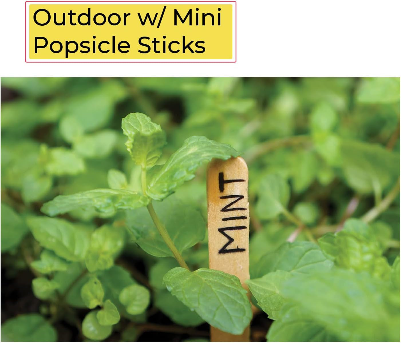 300 Pcs Mini Natural Wooden Food Grade Craft Sticks - Ice Cream Stick - Popsicle - 3.5 Inch Length - Suit Crafting, Stirring, Paddle, Waxing, Small Ice Pop Stick for DIY Kids Popcicle