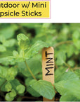 300 Pcs Mini Natural Wooden Food Grade Craft Sticks - Ice Cream Stick - Popsicle - 3.5 Inch Length - Suit Crafting, Stirring, Paddle, Waxing, Small Ice Pop Stick for DIY Kids Popcicle