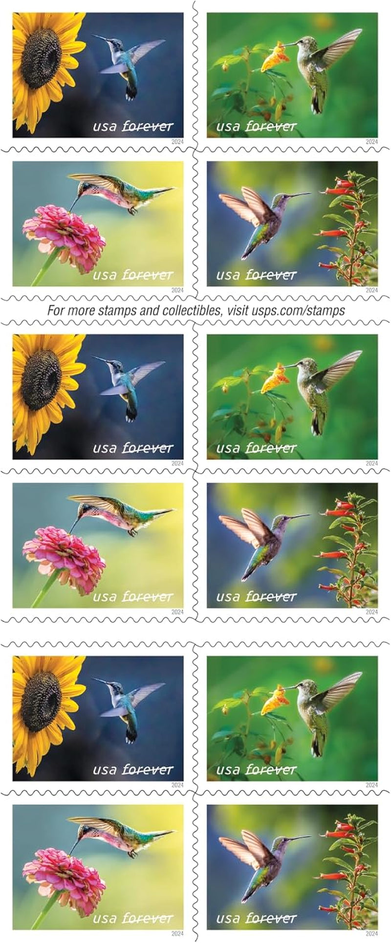 20Pcs Hummingbird Post Stamps*** New 2024 Flowers Design Mailing Forever Postage, Mixed