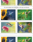 20Pcs Hummingbird Post Stamps*** New 2024 Flowers Design Mailing Forever Postage, Mixed