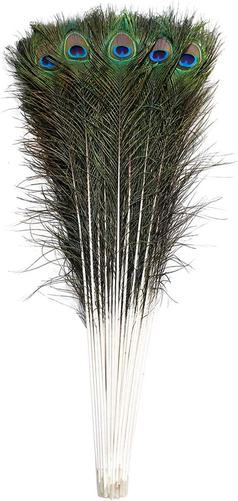 20Pcs Natural Peacock Feathers Long Pole Bulk 40-45 Inch for DIY Craft, Wedding Holiday Decorationn and Floral Arrangement