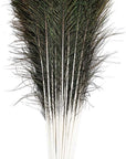 20Pcs Natural Peacock Feathers Long Pole Bulk 40-45 Inch for DIY Craft, Wedding Holiday Decorationn and Floral Arrangement