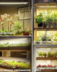 Led Grow Light For Plants