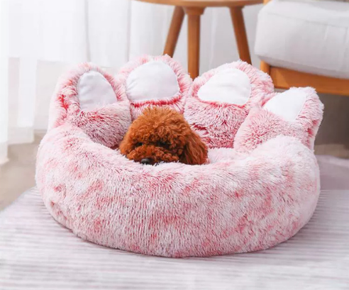 Cute Pet Sofa Bear