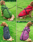 Winter Dog Jacket